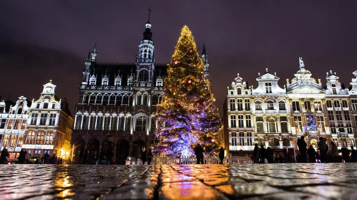 Brüksel Grand Place’de ışıklandırılmış Noel ağacı ve tarihi cepheler