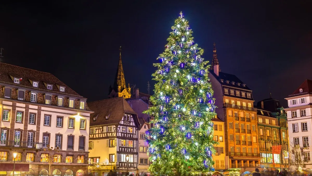 Strazburg’da meydandaki dev ışıklı Noel ağacı ve Alsace mimarisi