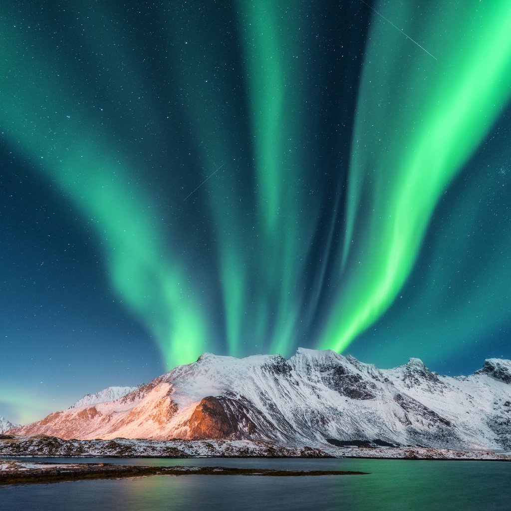 Norveç